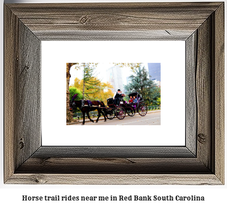 horse trail rides near me in Red Bank, South Carolina